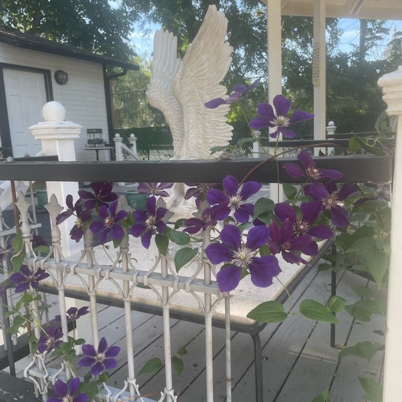 Hello from Boise - Picture 3 of 5